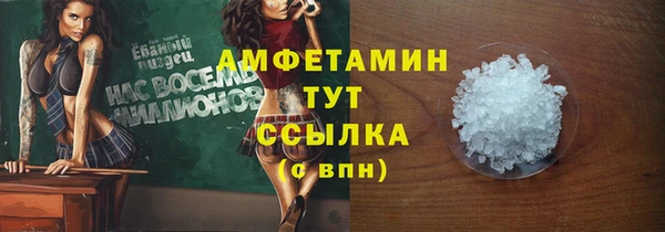 шишки Горняк