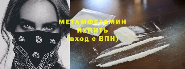 шишки Горняк