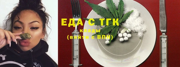 шишки Горняк