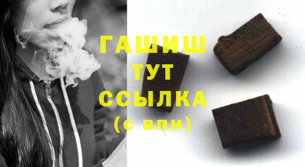 шишки Горняк