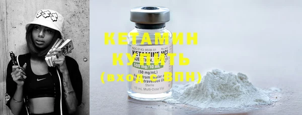 шишки Горняк