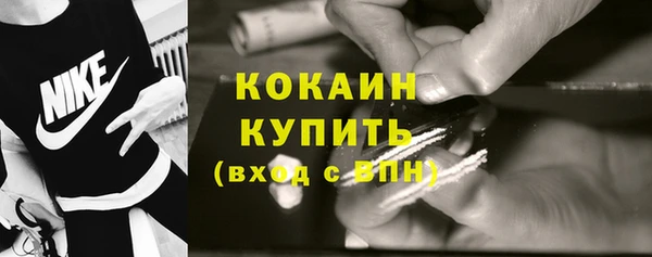 шишки Горняк