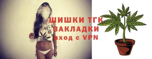 шишки Горняк