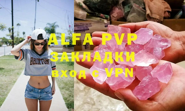 шишки Горняк