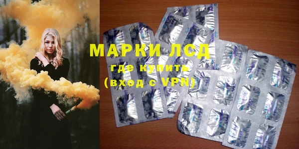шишки Горняк