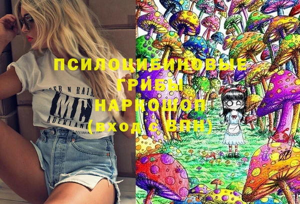 шишки Горняк