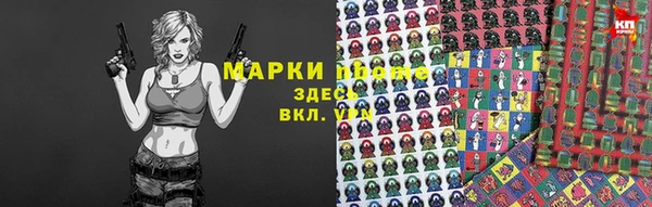 шишки Горняк