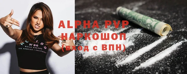 шишки Горняк