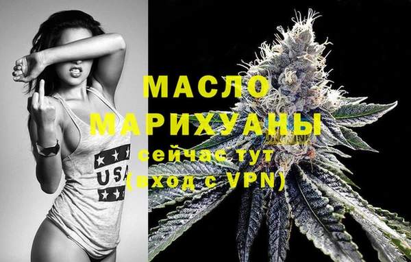 шишки Горняк