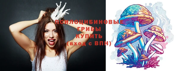 метадон Горнозаводск