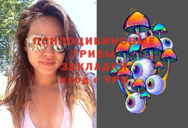 шишки Горняк