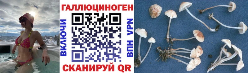 Галлюциногенные грибы прущие грибы  Купить закладки  Вельск 